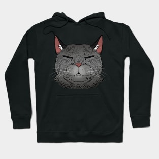 Sleepy Silver Tabby Hoodie